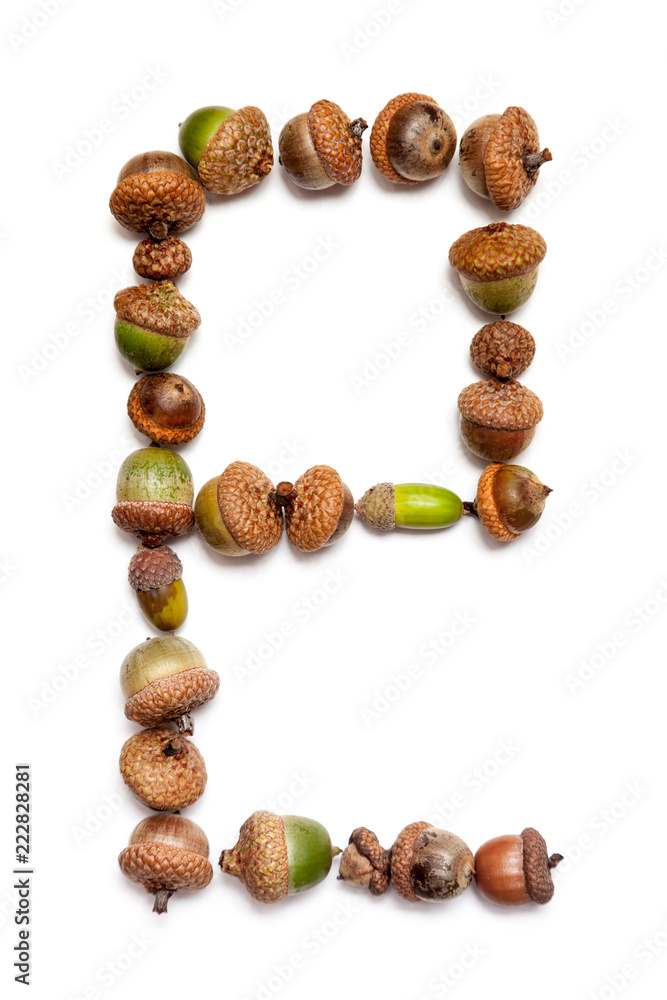 Autumn alphabet. Letter e is made of acorns Autumn alphabet. Letter e is made of acorns