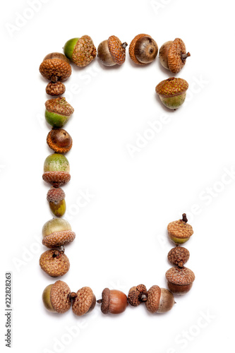Autumn alphabet. Letter C is made of acorns