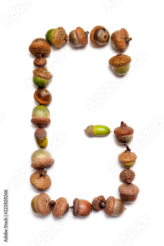Autumn alphabet. Letter G  is made of acorns