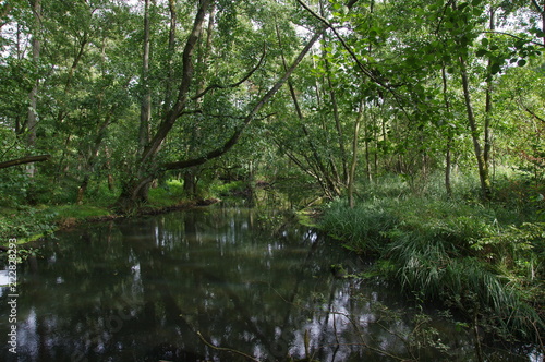 Hellbach bei M  lln