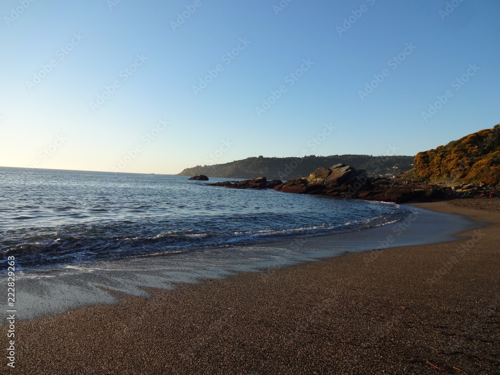 olas y playa olas y playa