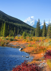 Scenic pond landscape along Kananaskis trail in Banff national park