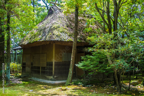 Small Cottage in Japanese garden