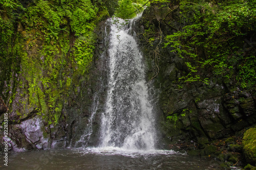 WaterFall in Japanese forest 