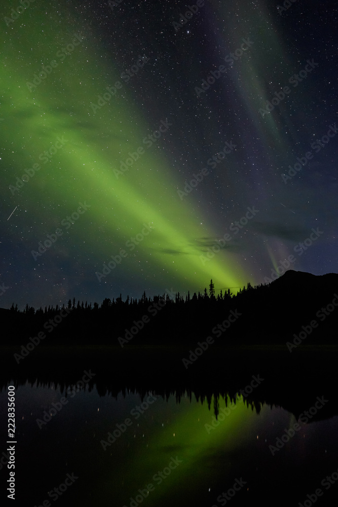 Polarlicht mit Bäumen, die sich im Wasser spiegeln, reicher Sternenhimmel über dem See Sjabtjakjaure, Lappland, Schweden