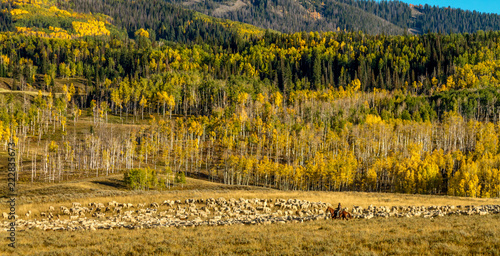 Fall in Steamboat Springs Colorado