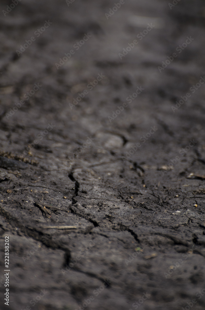 Cracks on dry soil Cracks on dry soil