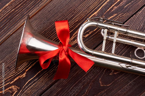 Slika na platnu Trumpet with red bow