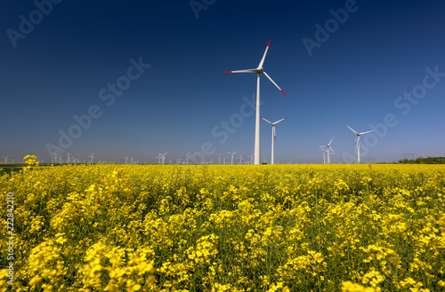 Wind turbines farm. Alternative Renewable Energy.