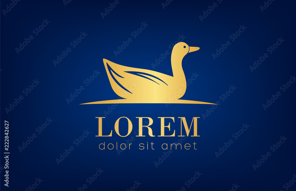 Obraz premium Duck logo vector. Bird logo design vector illustration. 