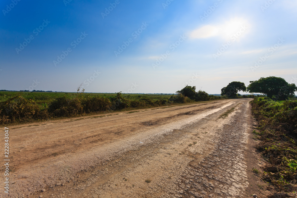 Brazilian dirt road in perspective