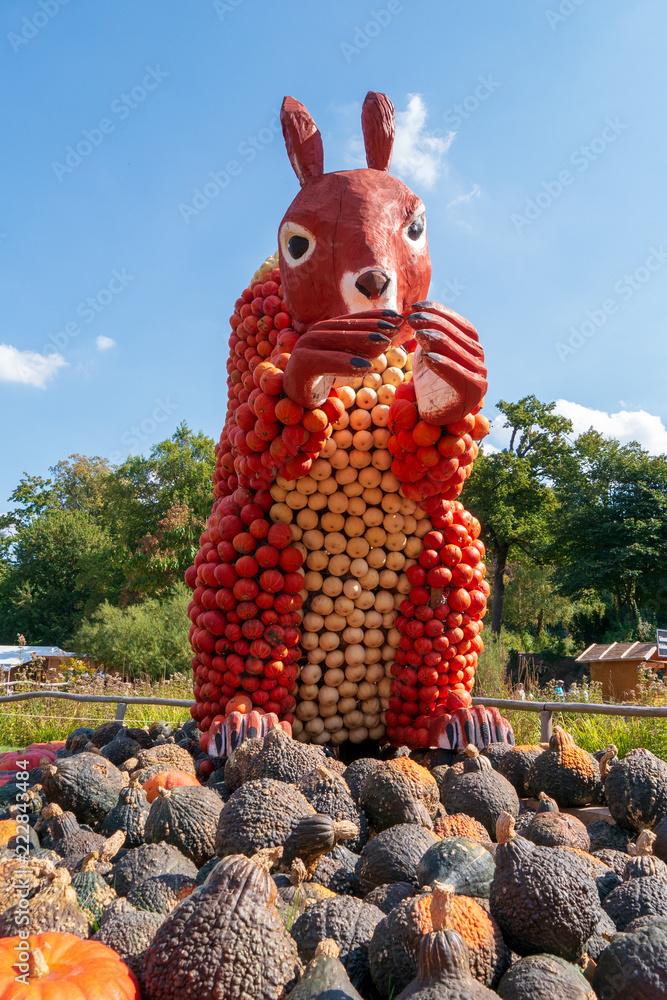 Fototapeta premium Pumpkin used for figure build up