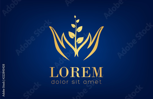 Plant in hand logo
