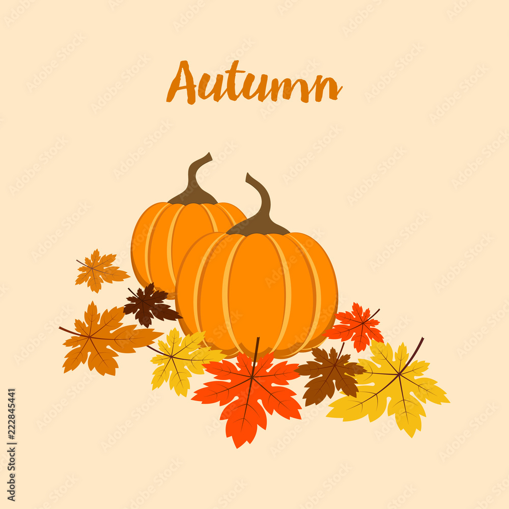 autumn composition with pumpkins autumn composition with pumpkins