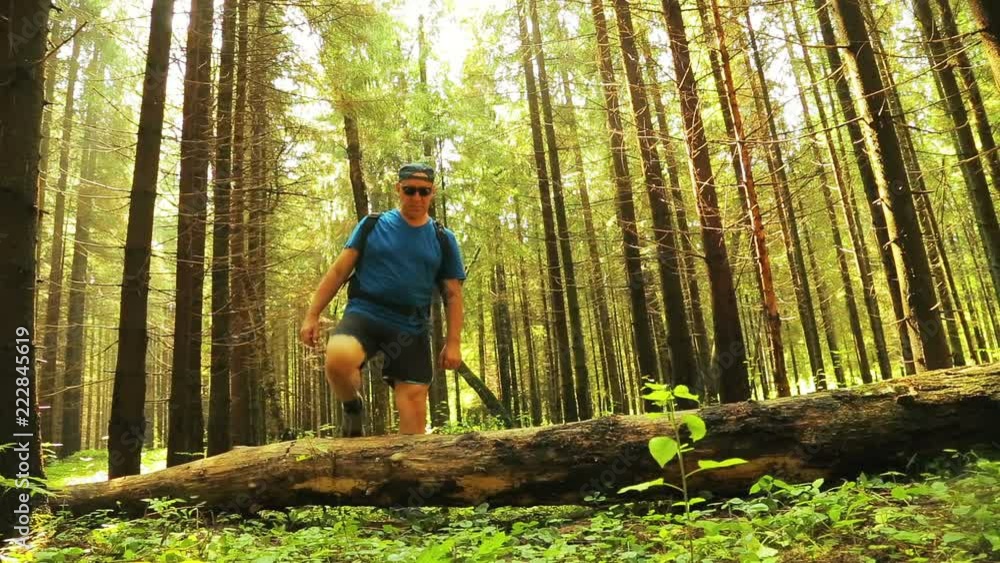A tourist man steps over a fallen tree in a forest. A tourist man steps over a fallen tree in a forest.