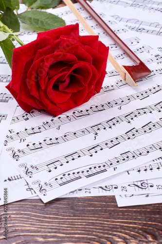 Violin bow and rose on musical notes. Music notes sheets and red rose on wooden background, vertical image. Life is the song.