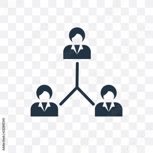 hierarchical structure icon isolated on transparent background. Simple and editable hierarchical structure icons. Modern icon vector illustration.