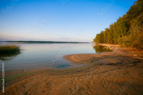Lake shore edging mixed forest landscape  Belarus