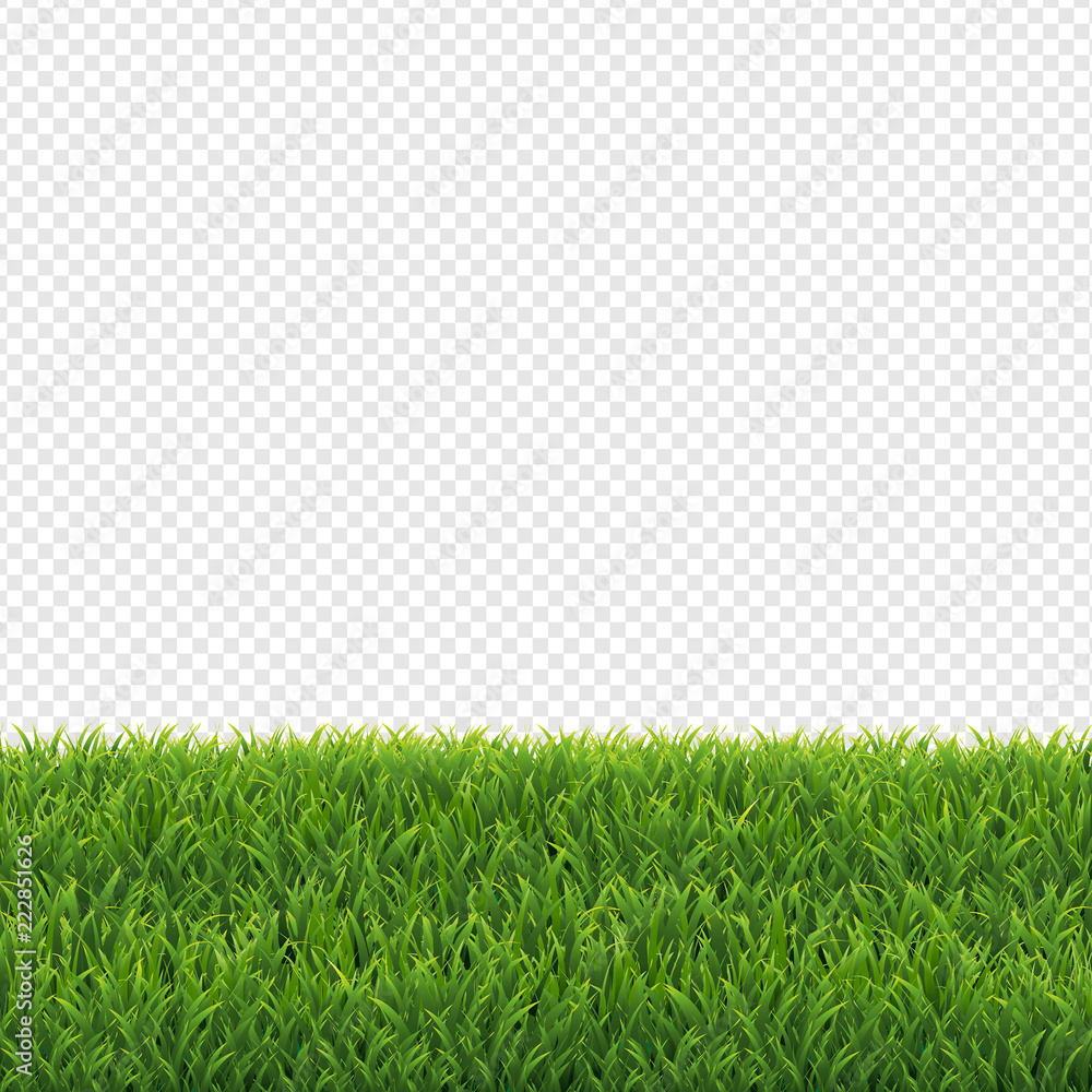 Với nền cỏ xanh rực rỡ, bức hình sẽ khiến bạn cảm thấy như lạc vào một khu vườn xanh mát, thoáng mát và yên bình.