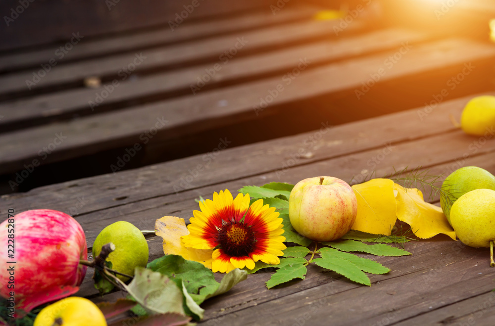 Ripe fruit, autumn leaves and flowers on a wooden table in the garden