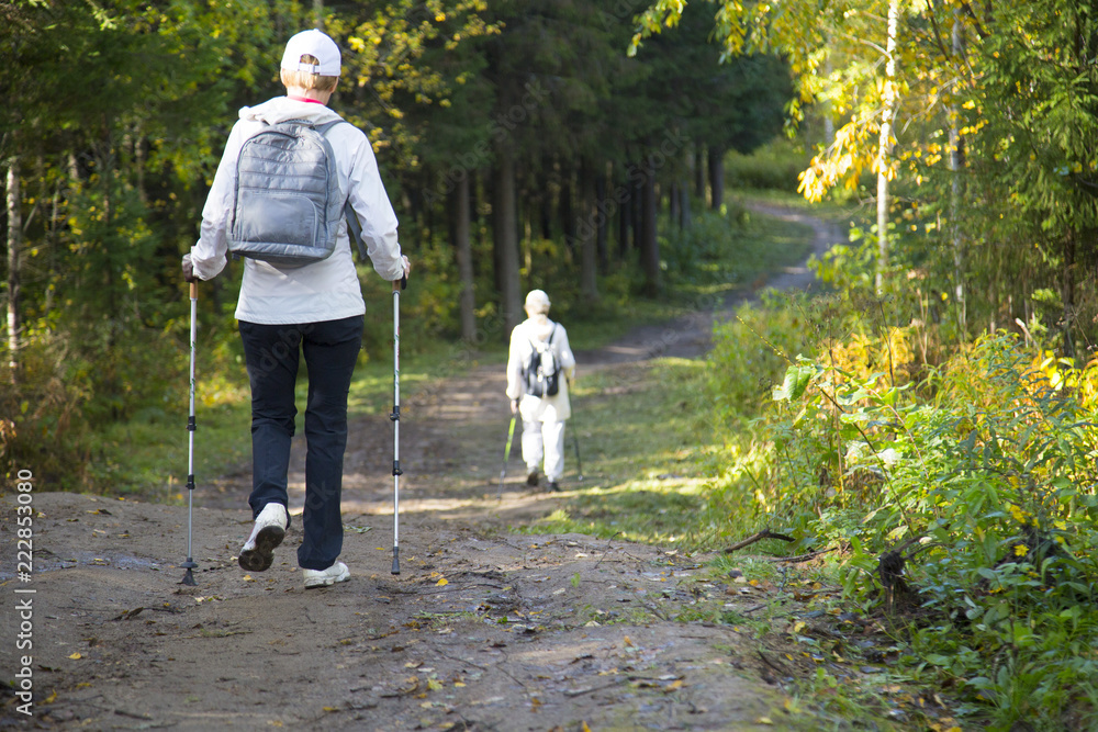 woman practicing nordic walking in nature woman practicing nordic walking in nature
