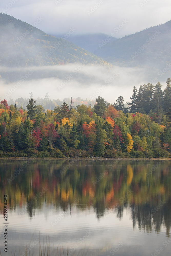 bold fall foliage reflected in a pond bold fall foliage reflected in a pond