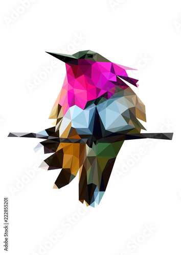Colorful polygonal style design of tropical bird with pink neck