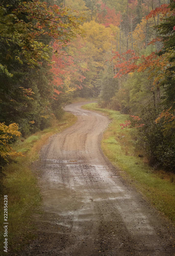 Naklejka premium windy road in the fall colors of the adirondacks