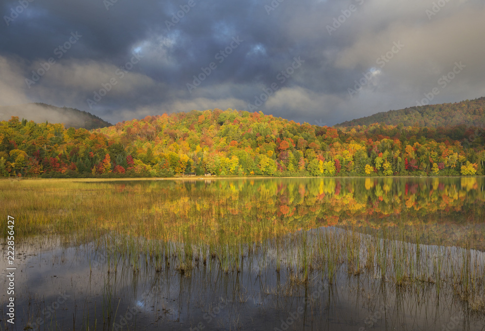 bold colors of autumn in the adirondacks