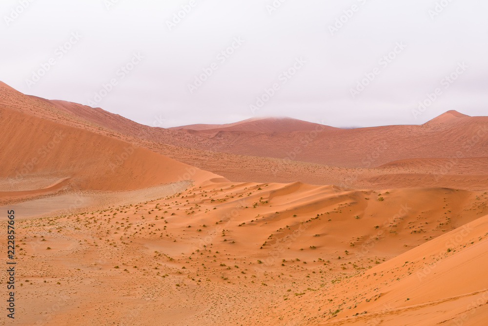 Sand dunes at Sossusflei in Namibia