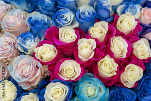 Large multi-colored roses background.