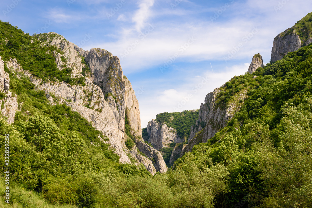 Turda gorge, Romania. The entrance of a spectacular cliff gorge called Cheile Turzii (Turda gorge). Steep rock with forest and mountains near Turda, transylvania, Romania.