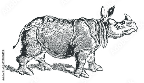 Threatened Indian rhinoceros unicornis in profile view. Illustration after a historical lithography or engraving from the early 19th century