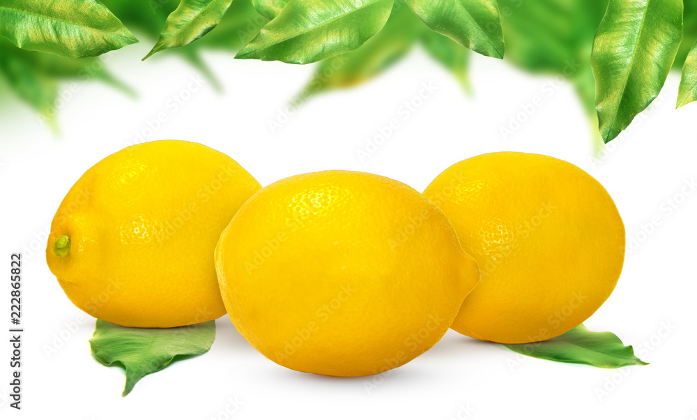 Fresh delicious lemon isolated on white background. Creative minimalistic food concept.