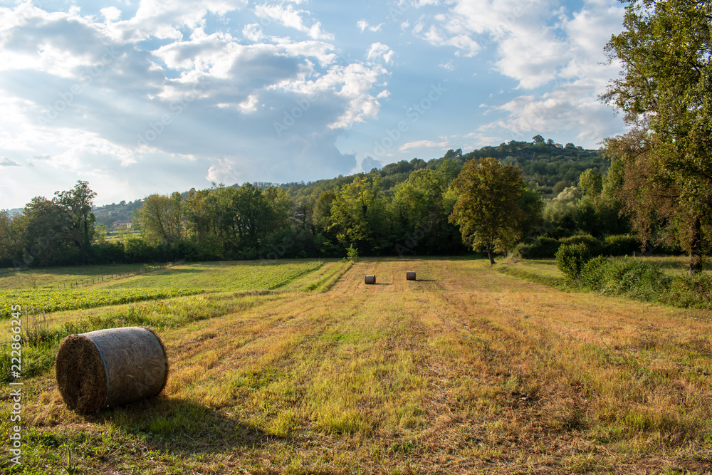 hay bales on the valley field