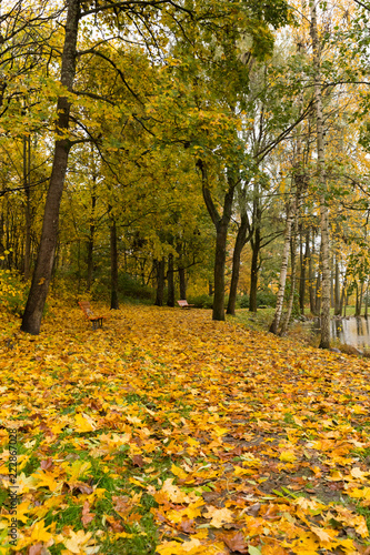 Maple leaf path