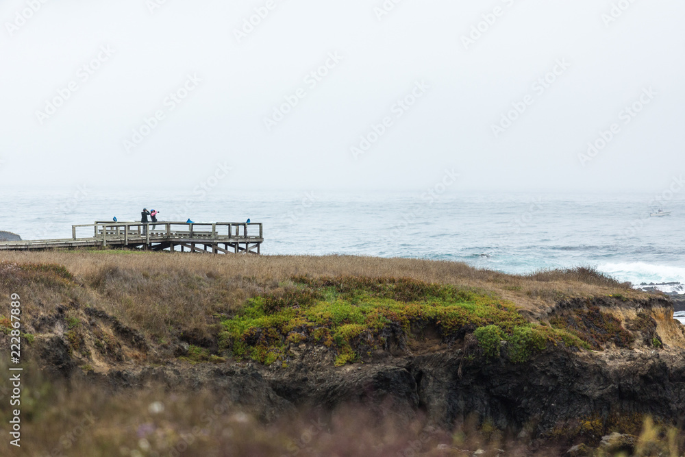 Fototapeta premium Wildlife viewing area with tourists looking at the sea