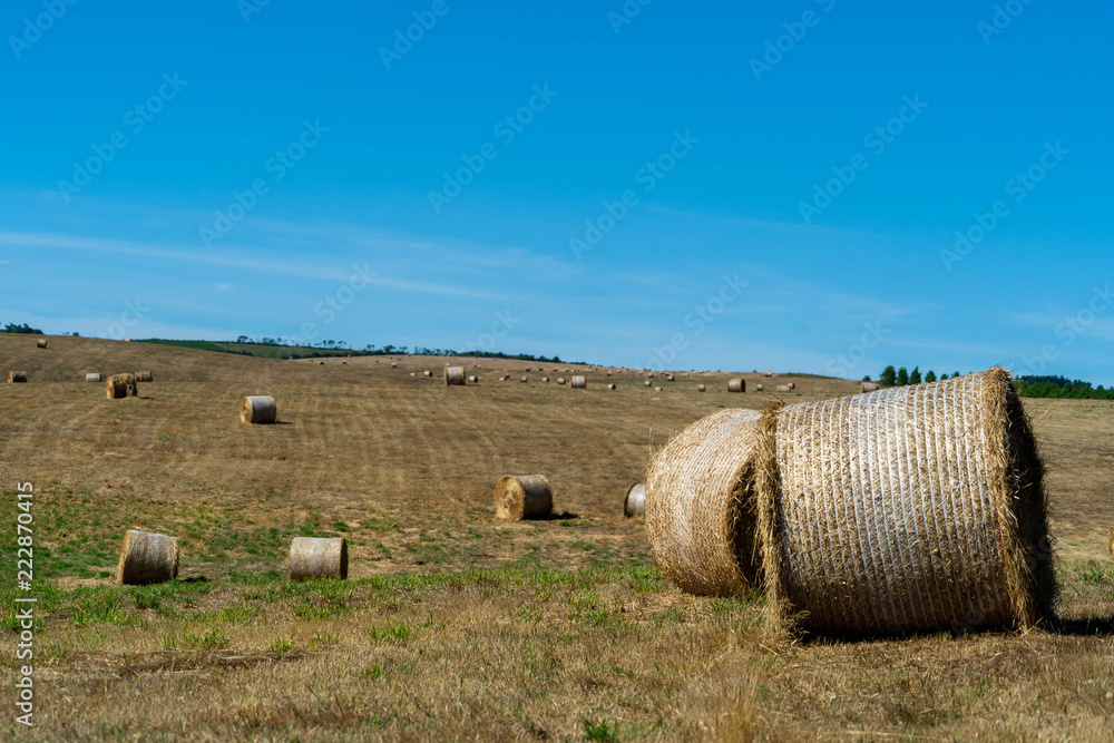 straw role in the field