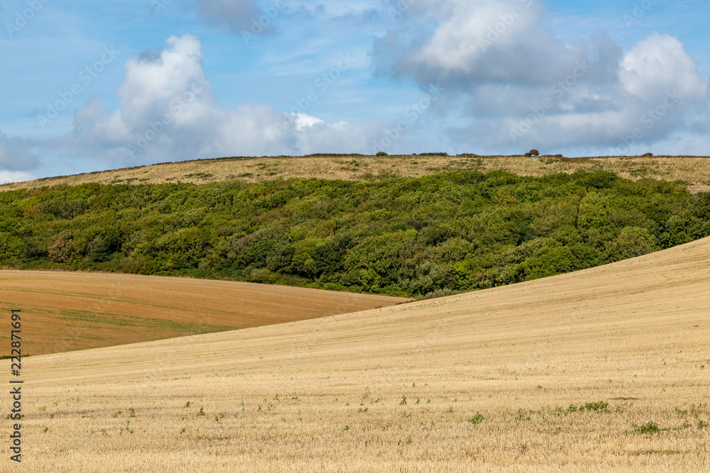 Isle of Wight farmland on a sunny late summer's day
