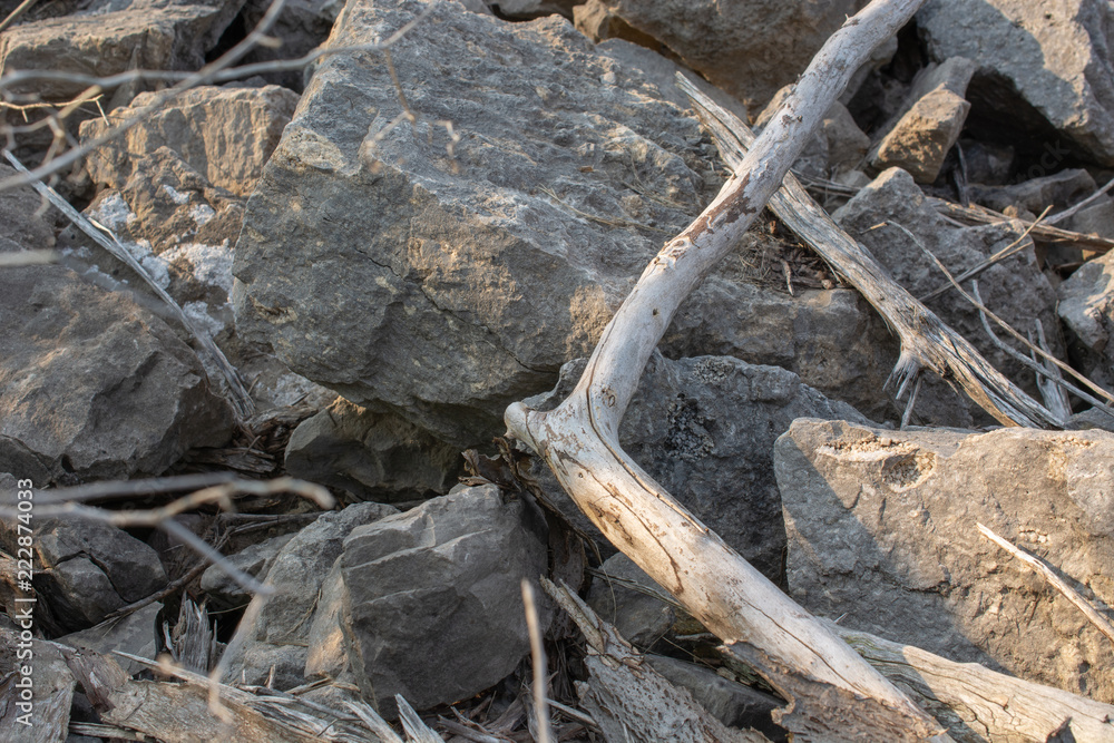 Large Rocks and Drift Wood During Sunset Large Rocks and Drift Wood During Sunset