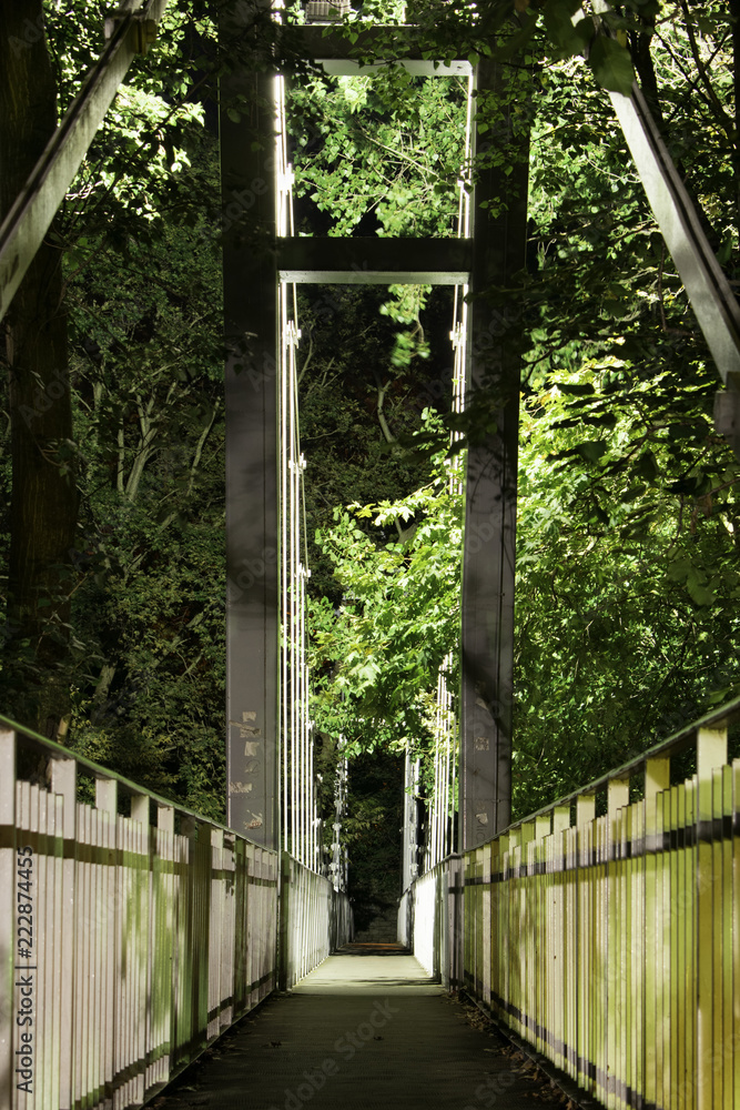 Night photo of the hanging bridge The hanging bridge over the river Pinios in the Tempi valley Greece Night photo of the hanging bridge The hanging bridge over the river Pinios in the Tempi valley Greece