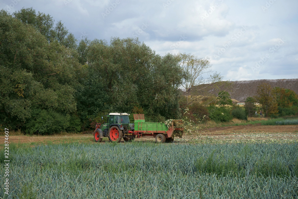 Traktor mit Häksler auf dem Feld Traktor mit Häksler auf dem Feld