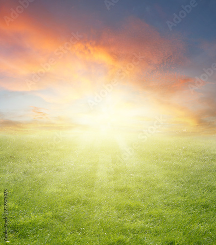 Green grass spring field and bright sunny summer sky background