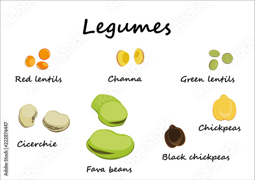 legumes photo