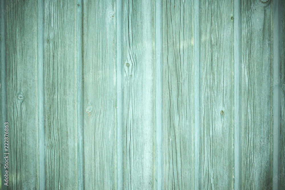 Obraz premium Old rustic green wooden wall background