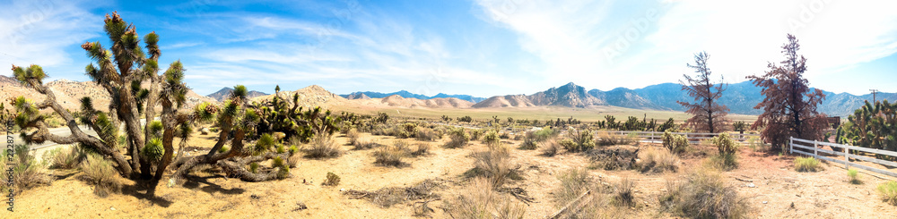 Panoramic landscape with road in Death Valley. USA.
