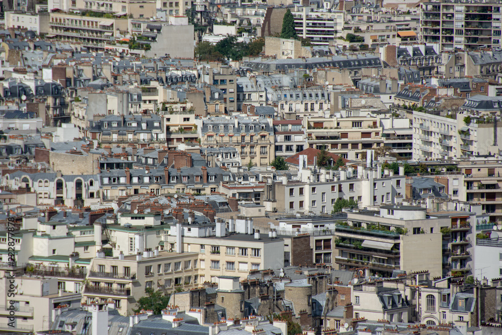 Aerial view of parisian buildings, Paris, France