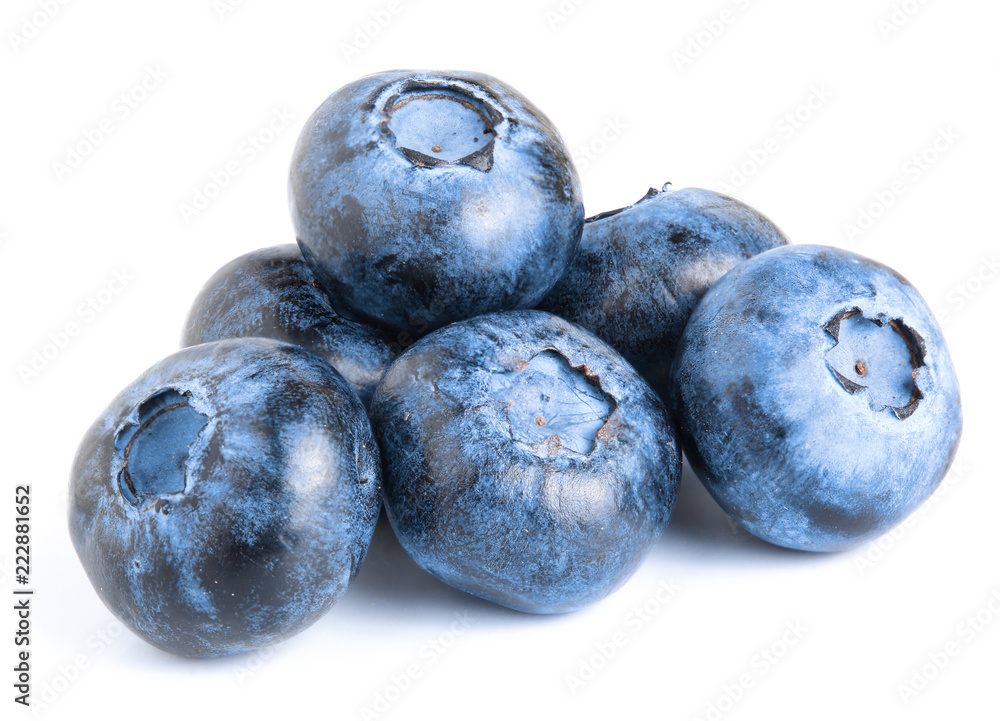 fresh ripe blueberry isolated on white background fresh ripe blueberry isolated on white background