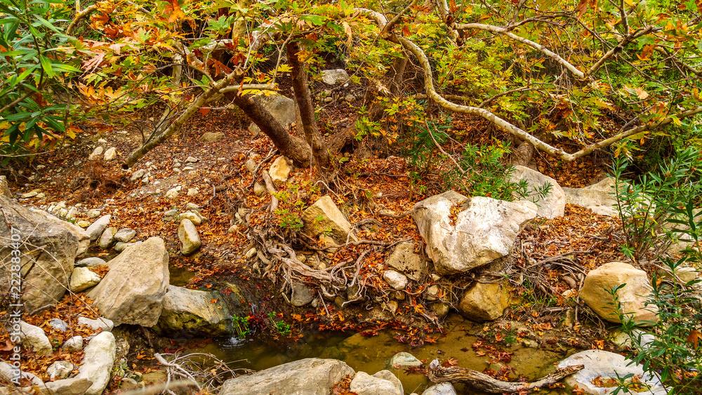 Obraz premium Amazing natural landscape in the Avakas canyon in Cyprus. National wild park with cliffs, mountains, rocks and trees. Deep natural valley to discovery for tourists and travelers. Vintage background
