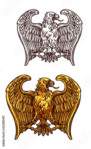 Heraldic gold eagle bird sketch